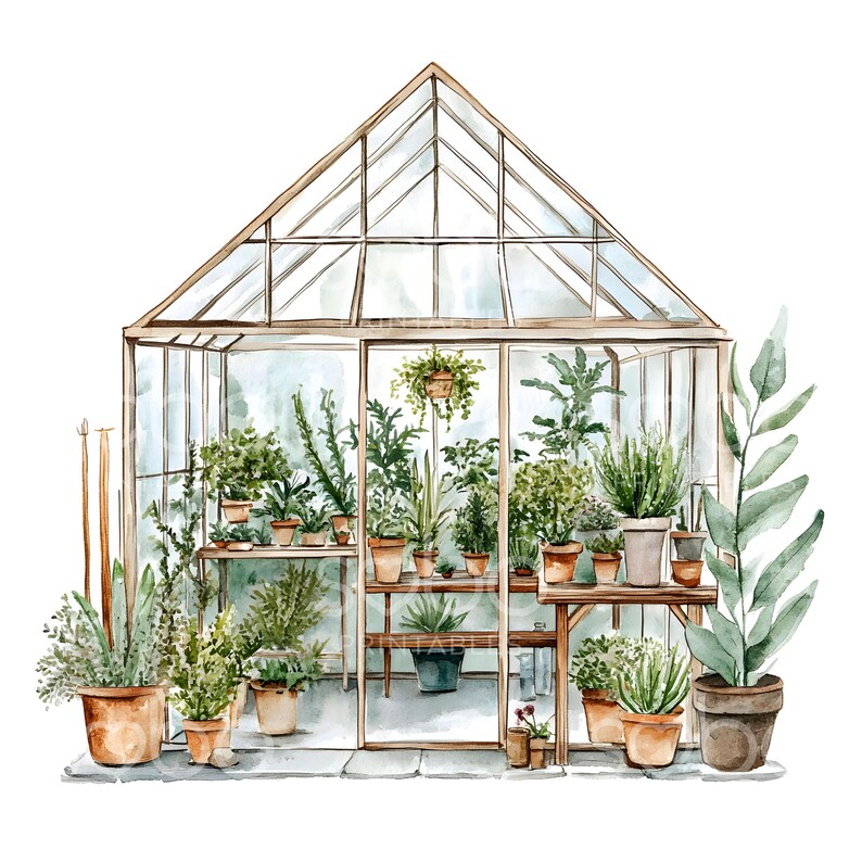 May include: A watercolor illustration of a greenhouse filled with various plants and flowers. The greenhouse has a wooden frame and glass panels. There are several potted plants on shelves and benches inside the greenhouse.
