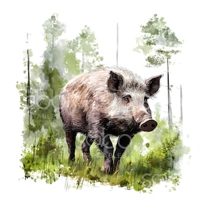 21 Clipart di cinghiali selvatici, natura, fauna selvatica, JPG di alta qualità, acquerelli stampabili, download digitale, lavoretti di carta, diario di scarto S793