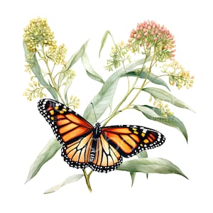 22 Clipart papillon monarque, papillon floral, aquarelle imprimable, fichiers JPG de haute qualité, téléchargement numérique, créations en papier, journal indésirable S489