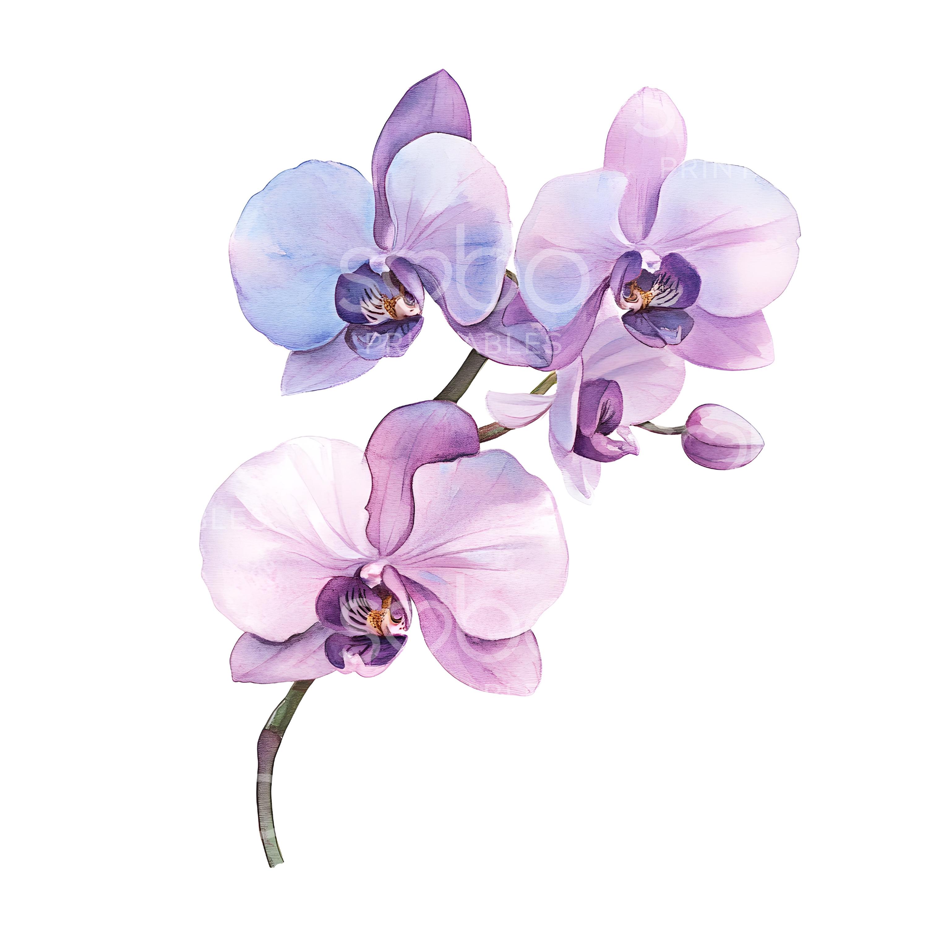 Panther Print Stampa Su Tela Con Orchidea Viola - Quadro Decorativo 45x30 Cm, Incorniciato, Pronto Da Appendere