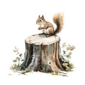 24 Squirrel Tree Stump Clipart, Woodland Animals, Forest Printable Watercolor Clipart, High Quality JPGs, Digital Download, Paper Craft S926