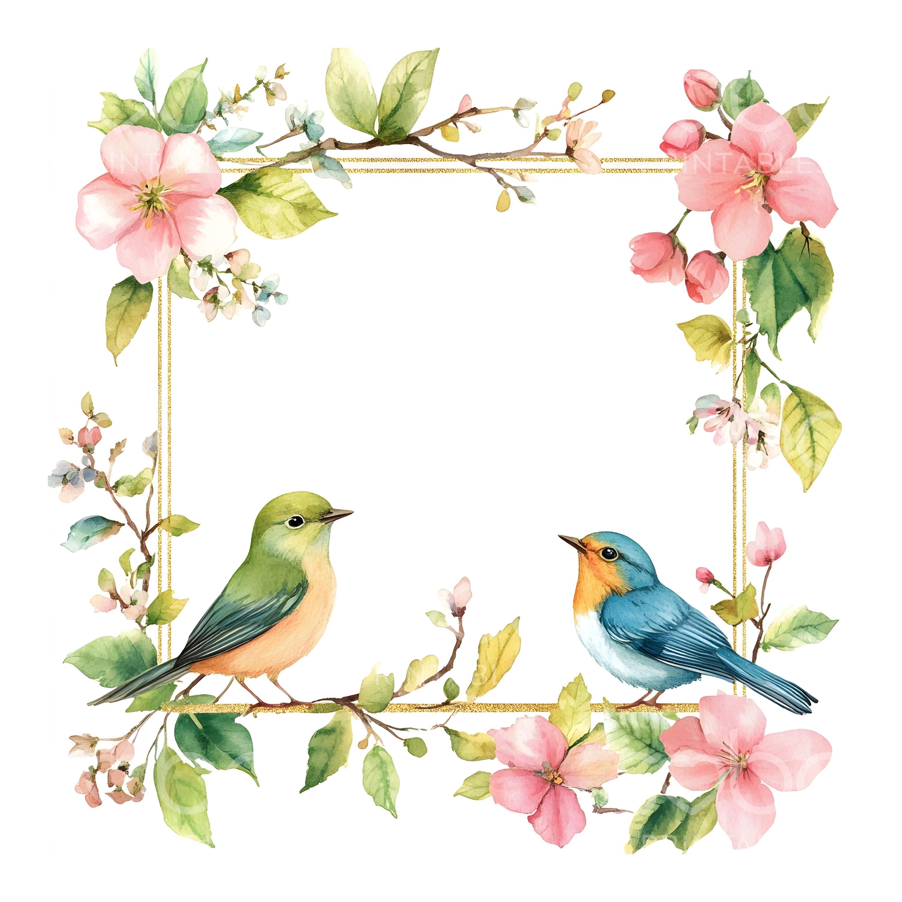 19 Floral Bird Frame Clipart, Cute Watercolor Birds, Frames Art, Print ...