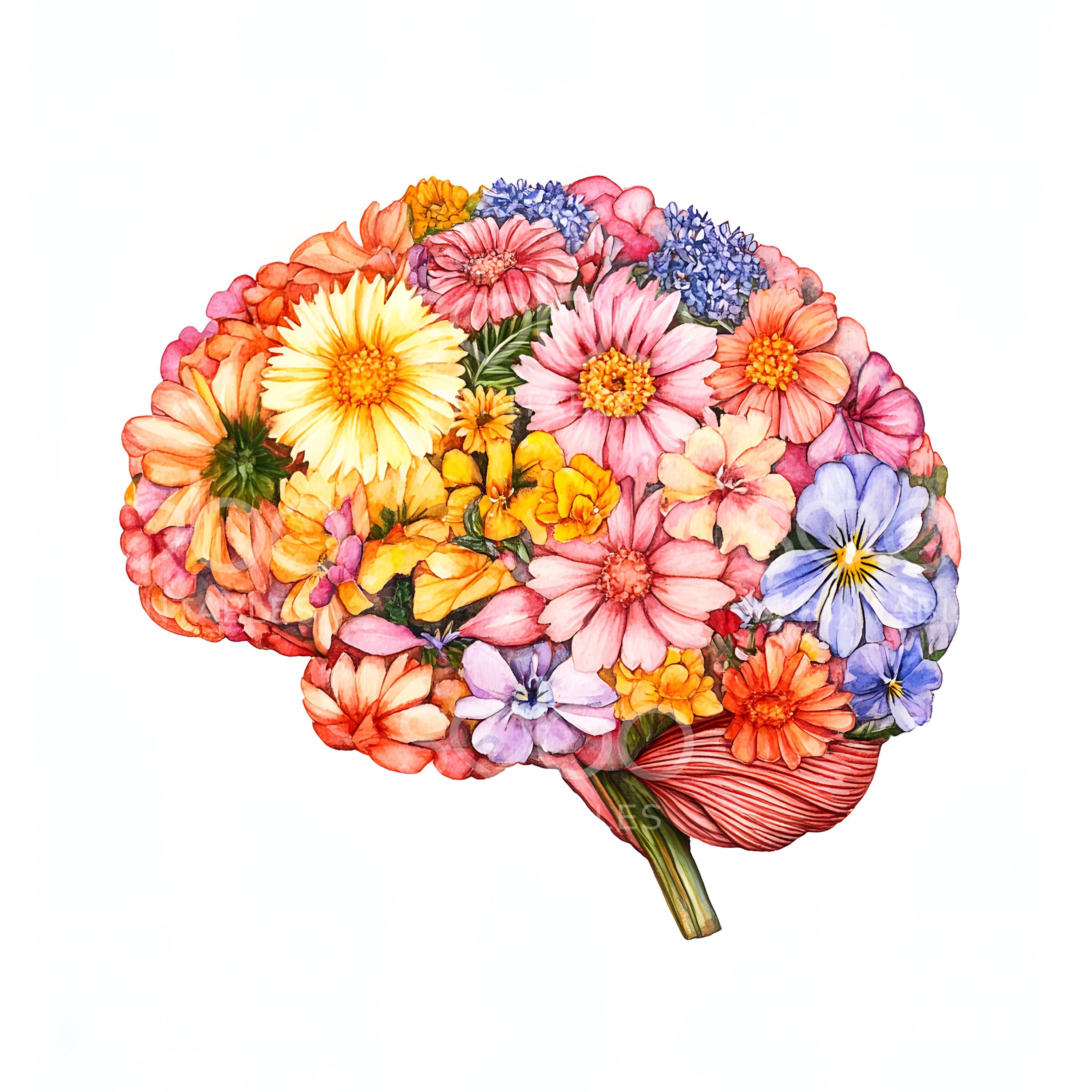 15 Floral Human Brain Clipart, Floral Anatomical Brain, High Quality ...