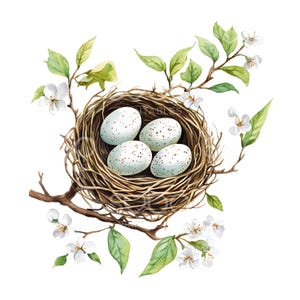 29 imágenes prediseñadas de nido de pájaro, nido decorativo, nido de huevos en colores pastel, acuarela imprimible, archivos JPG de alta calidad, descarga digital, manualidades de papel S654