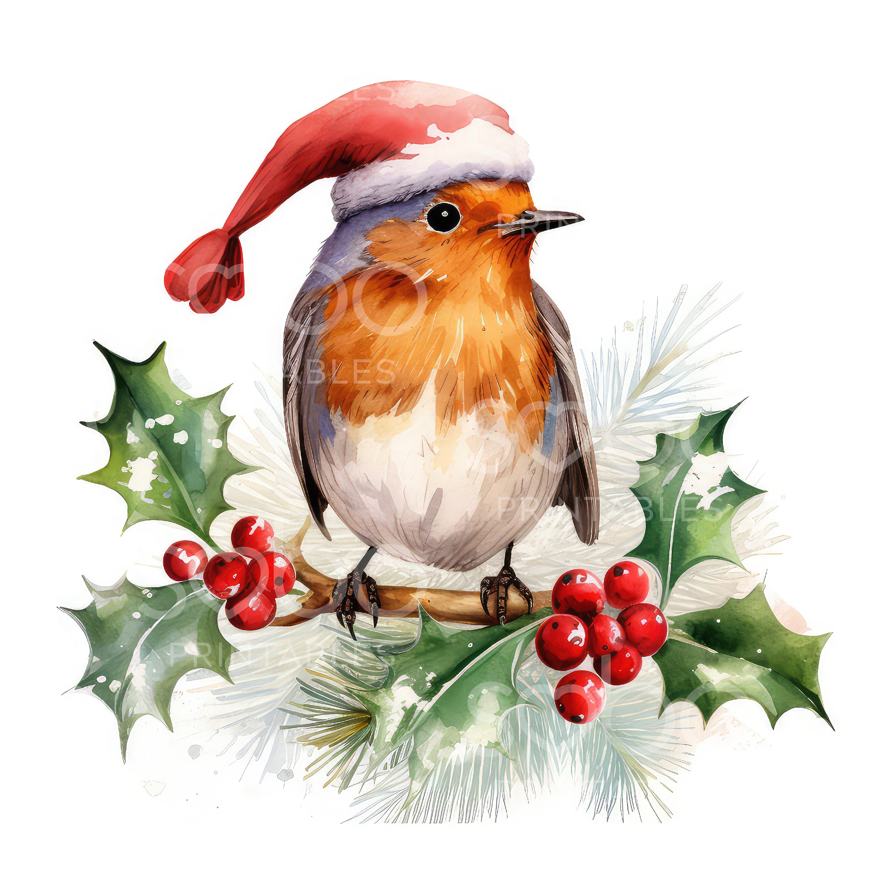 Christmas Robin Clipart - 10 High Quality Jpgs, Digital Planner, Junk ...