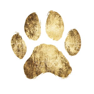 May include: A gold paw print with a textured, metallic finish. The print is isolated against a white background.