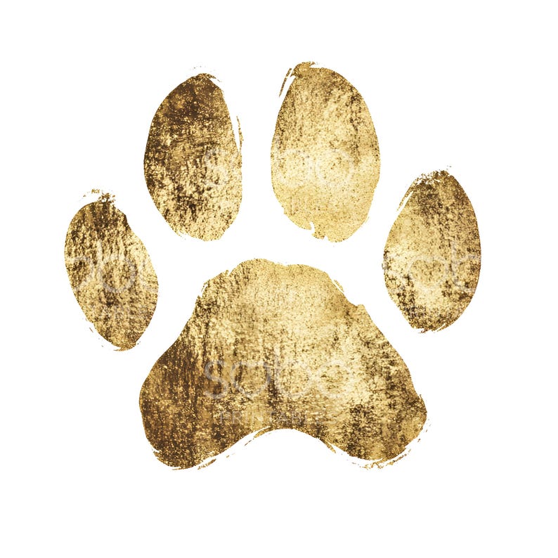 May include: A gold paw print with a textured, metallic finish. The print is isolated against a white background.