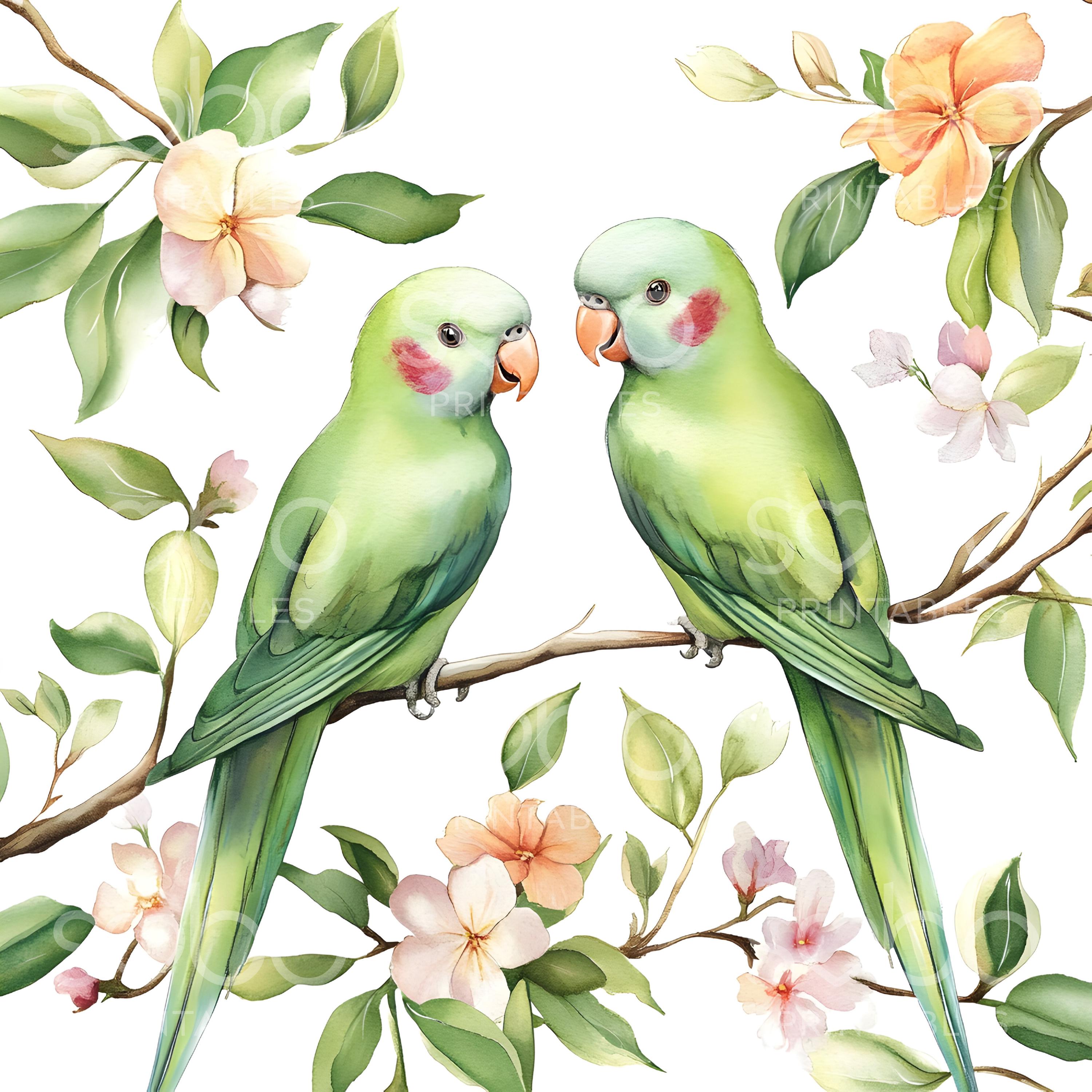 19種類の緑のオウムのクリップアート、インコの鳥、高品質JPG、水彩画