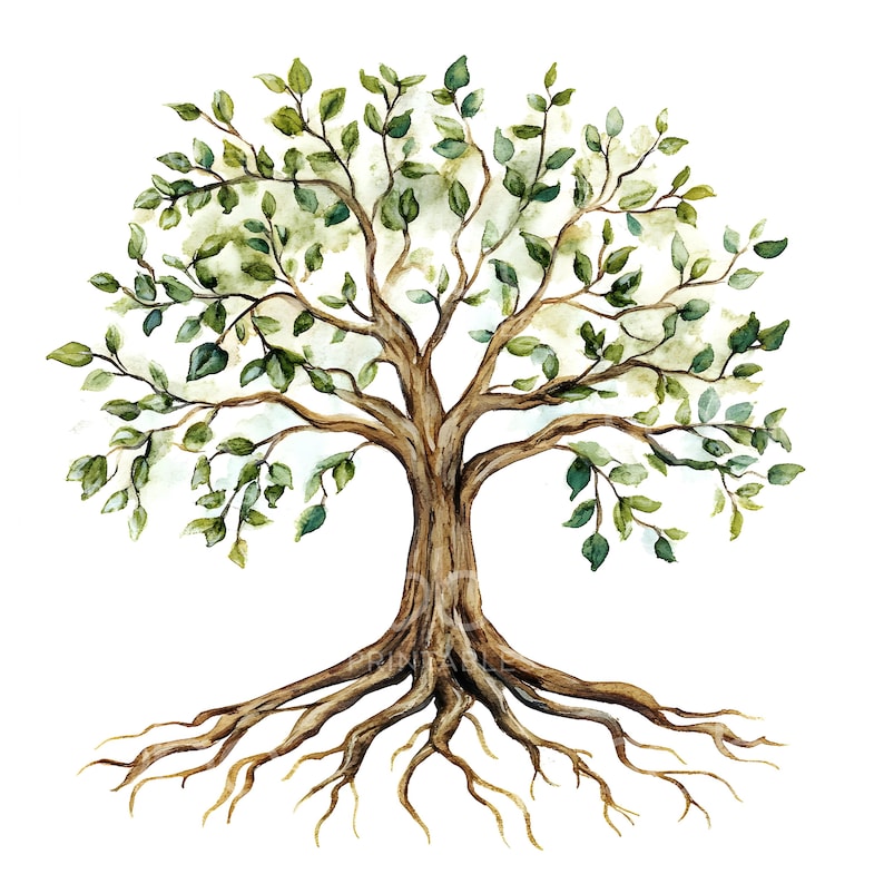 May include: Watercolor painting of a tree with green leaves and brown branches. The tree has a thick trunk and many roots that spread out from the base.