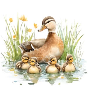 Pode incluir: Um pato marrom e branco com quatro patinhos nadando em um lago com flores amarelas e grama verde no fundo.