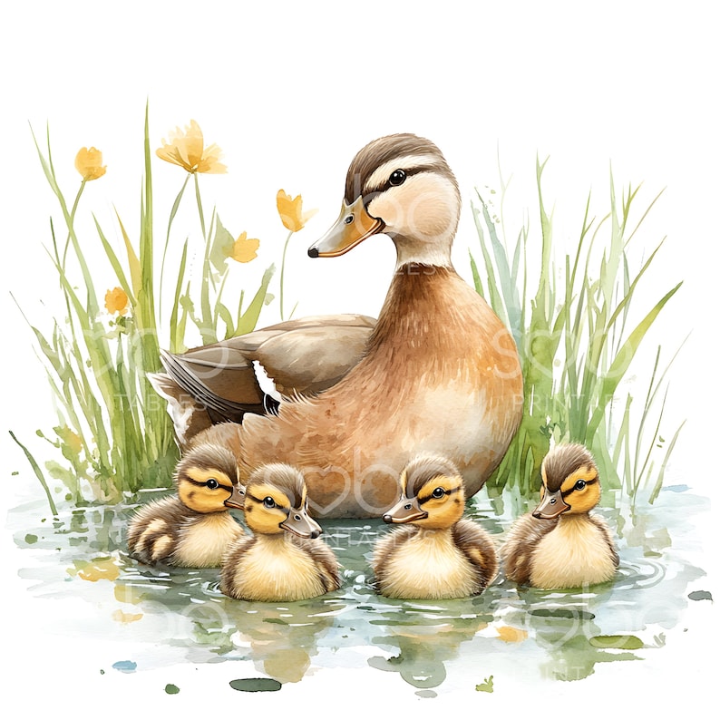 Pode incluir: Um pato marrom e branco com quatro patinhos nadando em um lago com flores amarelas e grama verde no fundo.