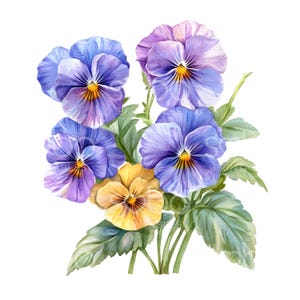23 Clipart fleur de pensée, Art fleurs pensées, aquarelle tropicale, fichiers JPG de haute qualité, téléchargement numérique, créations en papier, journal indésirable S766