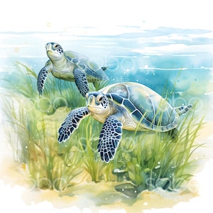 May include: Two green sea turtles swimming in a watercolor illustration of a shallow ocean with green seaweed. The turtles are facing the right side of the image. The turtle in the foreground is larger than the turtle in the background.