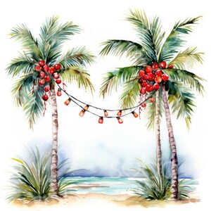 May include: Two palm trees with red coconuts hanging from the branches. A string of lights hangs between the trees.