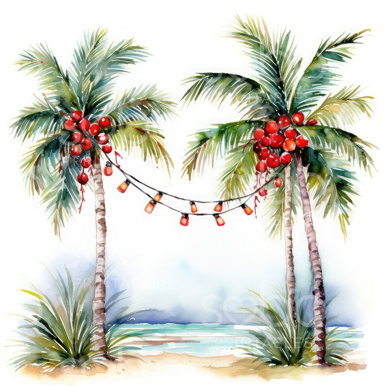 May include: Two palm trees with red coconuts hanging from the branches. A string of lights hangs between the trees.