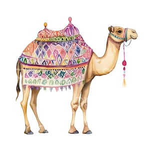25 imágenes prediseñadas de camellos marroquíes, camellos del desierto, arte marroquí, imágenes prediseñadas de acuarela imprimibles, archivos JPG de alta calidad, manualidades de papel, diario basura S657