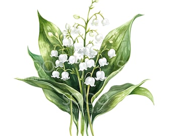 29 Lily of the Valley Clipart, Wedding Lily Flowers, High Quality JPGs, Printable Watercolor Art, Digital Download, Paper Craft U289