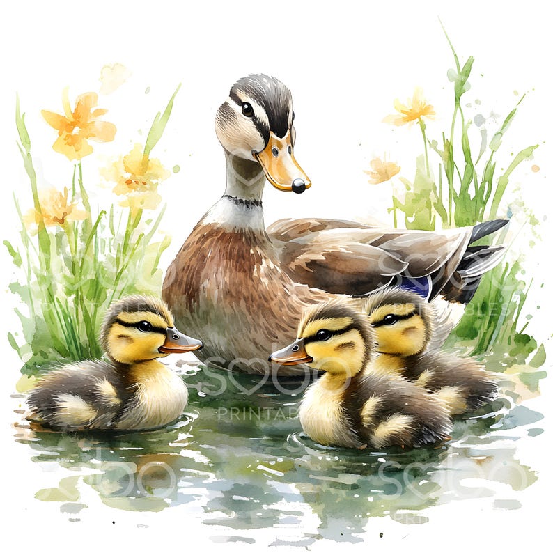 Pode incluir: Uma m&atilde;e pata e seus tr&ecirc;s patinhos nadando em um lago com flores amarelas no fundo. A m&atilde;e pata &eacute; marrom e branca com a cabe&ccedil;a verde. Os patinhos s&atilde;o amarelos e marrons.