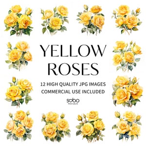 Clipart de rosas amarillas: 12 archivos JPG de alta calidad, descarga digital, diario basura, creación de tarjetas, técnica mixta, manualidades con papel digital, arte mural S07