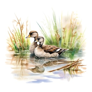 20 patitos en un estanque Clipart, JPG de alta calidad, Planificador digital, Diarios basura, Scrapbooking, Artesanía, Tarjetas de planificador, Descarga digital S113
