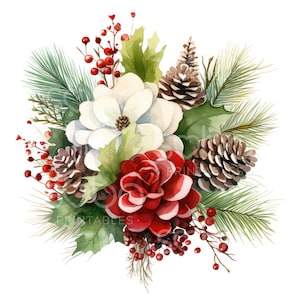 Clipart de buquê de Natal - 13 JPGs de alta qualidade, planejador digital, livro de memórias, scrapbooking, arte de parede, download digital, cartão de felicitações S28