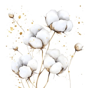 21 imágenes prediseñadas de flores de algodón, ramo de plantas de algodón, acuarela imprimible, archivos JPG de alta calidad, descarga digital, manualidades de papel, diario basura S545