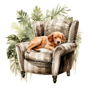 Puede incluir: Un perro golden retriever está durmiendo en un sillón de tela a cuadros marrón y blanco. El sillón está rodeado de plantas tropicales verdes.