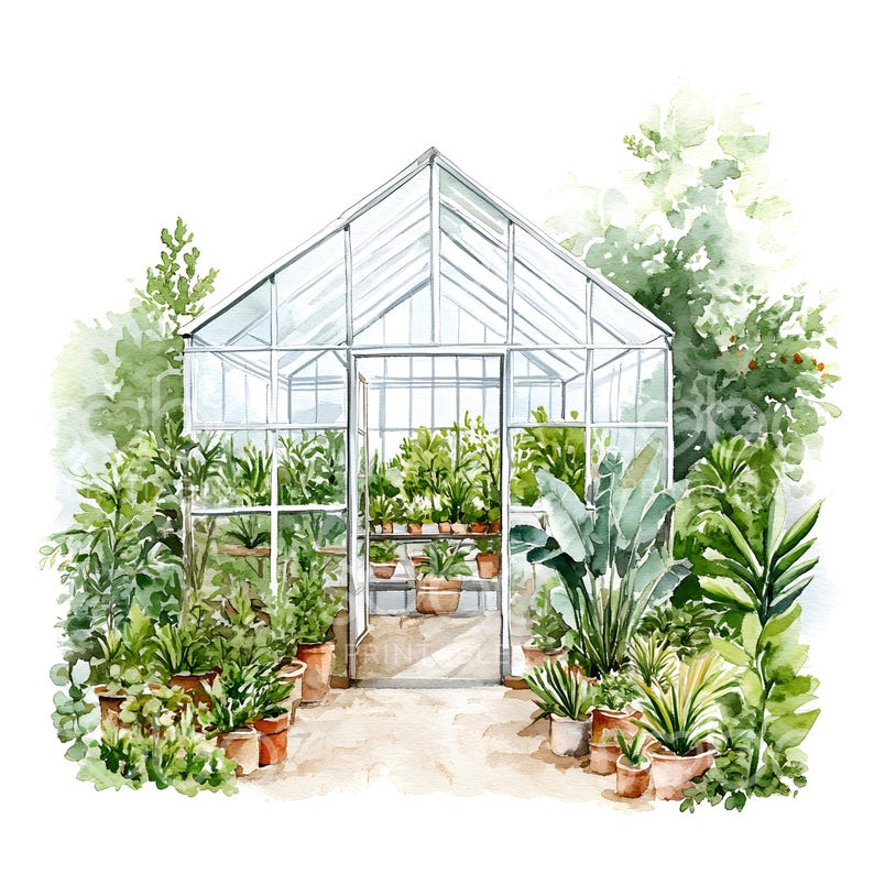 May include: A watercolor painting of a greenhouse filled with potted plants. The greenhouse is made of glass and metal and has a white frame. The plants are a variety of greens and are arranged in rows. The greenhouse is surrounded by lush greenery.