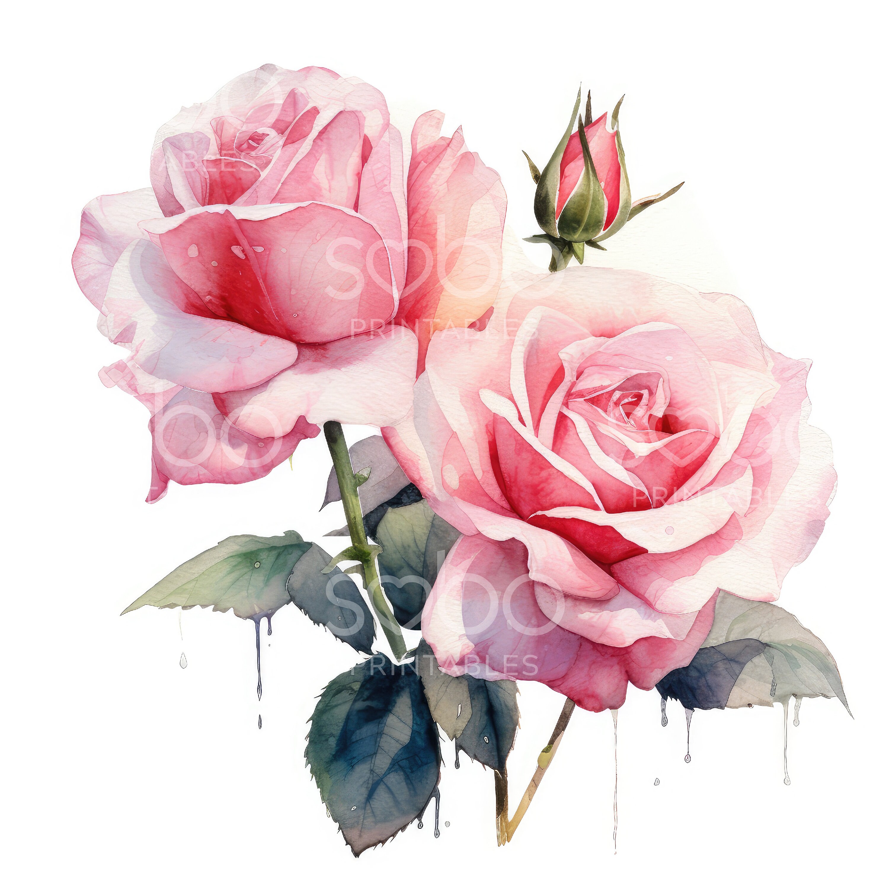Pink Roses Clipart - 11 High Quality Jpgs, Digital Download, Junk ...