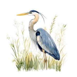 28 Clipart di uccelli airone blu, natura, fauna selvatica, JPG di alta qualità, arte ad acquerello stampabile, download digitale, artigianato di carta, diario spazzatura S749