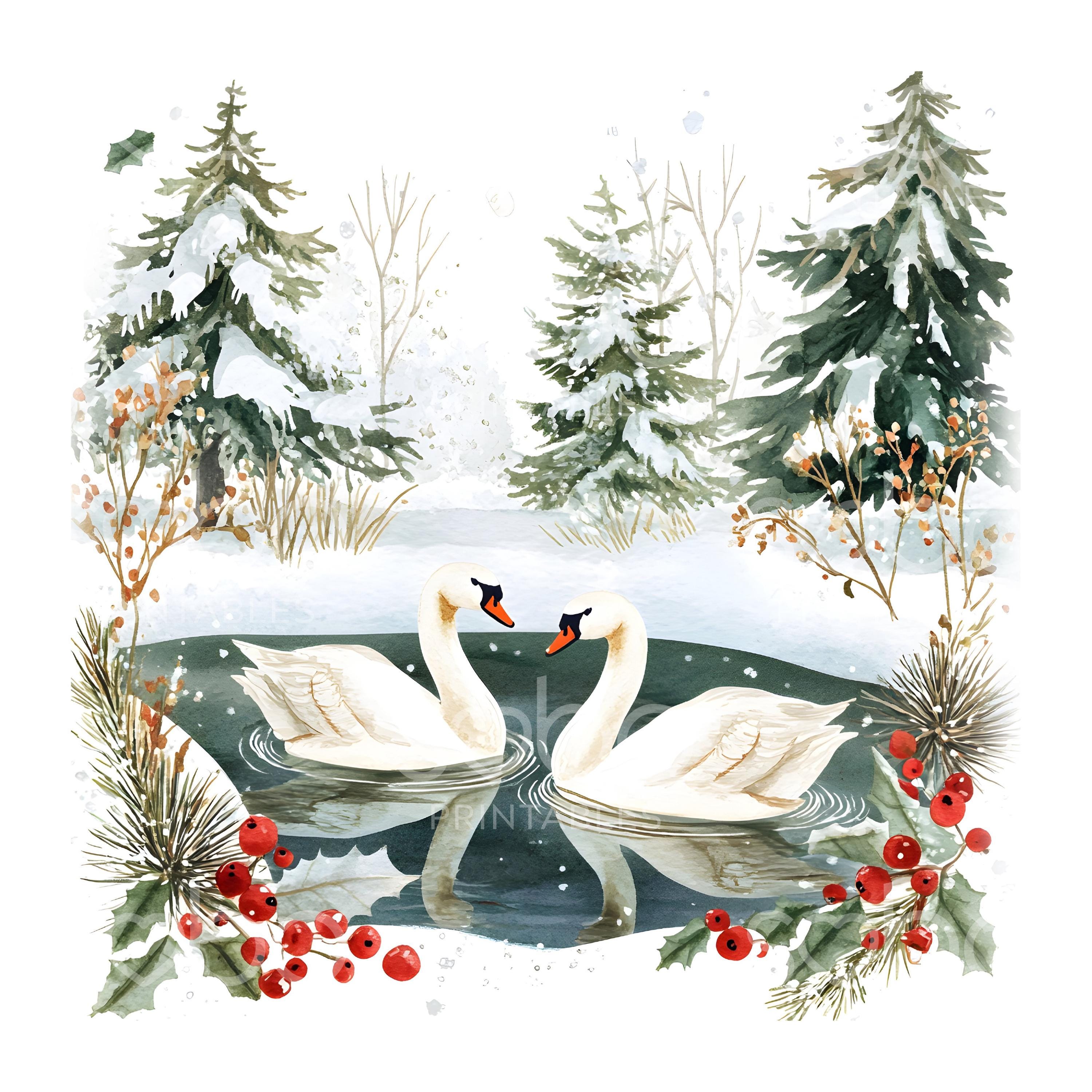 小林祐介（The Novembers） / Swan Christmas 小林祐介（The Novembers） / Swan Christmas CD 小林祐介THE