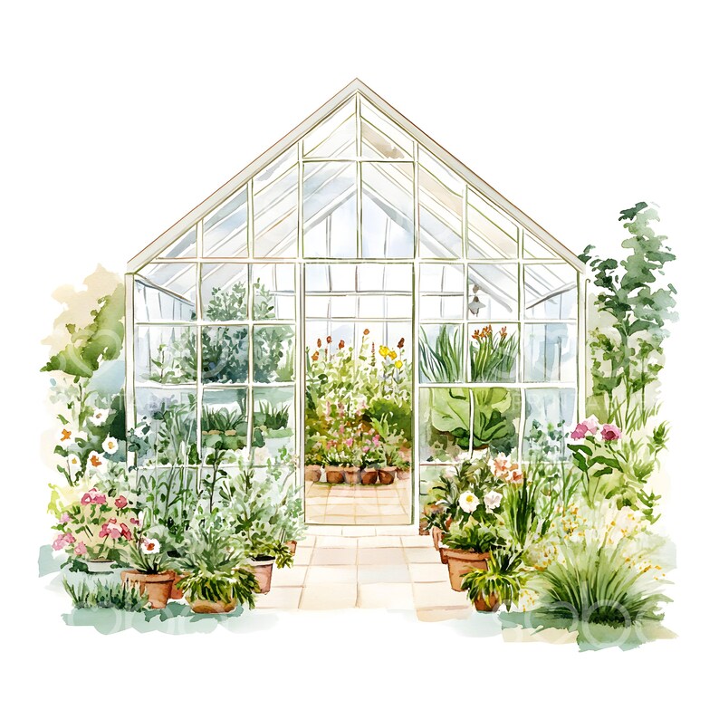 May include: A watercolor painting of a white greenhouse with a glass roof and windows. The greenhouse is surrounded by a variety of green plants and flowers in pots.