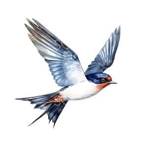 20 Clipart oiseau hirondelle, art oiseaux hirondelle, art imprimable aquarelle, fichiers JPG de haute qualité, téléchargement numérique, créations en papier, journal indésirable S895