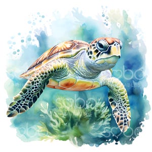 May include: A watercolor painting of a green sea turtle swimming in blue water with green coral. The turtle has a brown shell with green and orange markings.