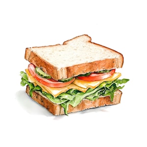 19 imágenes prediseñadas de sándwiches sabrosos, imágenes prediseñadas de comida rápida, acuarela imprimible, JPG de alta calidad, descarga digital, diario basura de papel S739