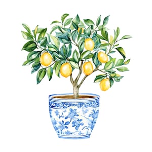 25 imágenes prediseñadas de limonero, limonero, arte mediterráneo, archivos JPG de alta calidad, descarga digital imprimible, manualidades de papel, diario basura S929