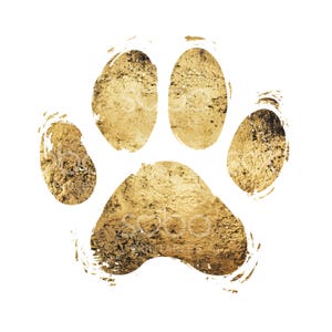 May include: A gold paw print with a textured, metallic finish. The print is isolated against a white background.