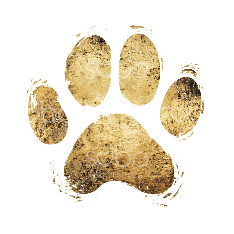 May include: A gold paw print with a textured, metallic finish. The print is isolated against a white background.