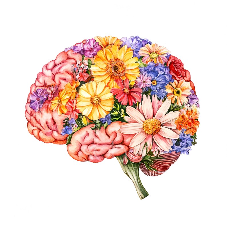 15 Floral Human Brain Clipart, Floral Anatomical Brain, High Quality ...