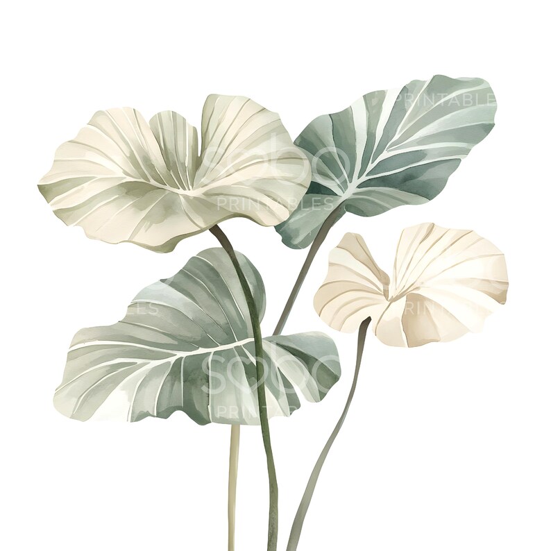 May include: Watercolor illustration of large, stylized leaves in shades of green and cream against a white background. The leaves have prominent veining and are arranged in a natural, yet artistic composition. The image has a soft, muted color palette.