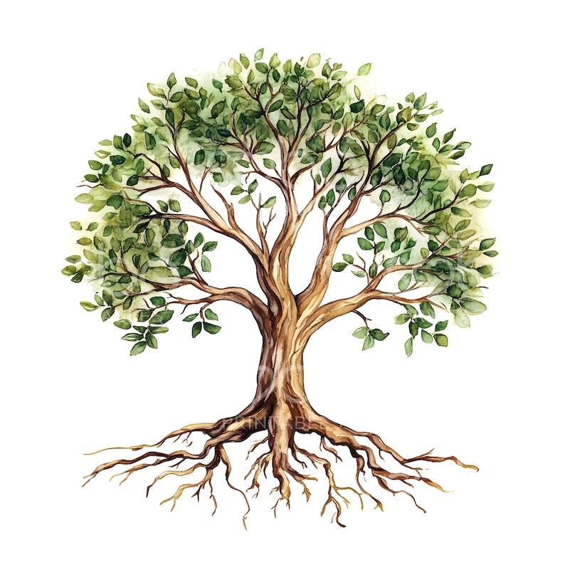 25 Tree of Life with Roots Clipart, Oak Family Tree, Printable Watercolor Clipart, High Quality JPGs, Digital Download, Paper Craft S447 image 6