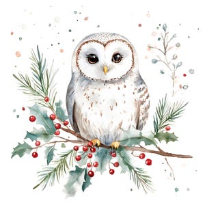16 imágenes prediseñadas de búho de nieve de invierno, búho de invierno, búho lindo, tarjeta navideña de granero, JPG de alta calidad, descarga digital, manualidad de papel, diario basura S281