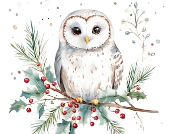 16 Winter Snow Owl Clipart, Winter Owl, Cute Owl, Barn Christmas Card, High Quality JPG, Digital Download, Paper Craft, Junk Journal S281