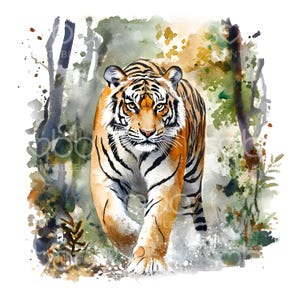 May include: A watercolor illustration of a tiger walking forward, featuring orange fur with black stripes, white accents on the face, and yellow eyes. The background consists of abstract green and brown foliage with paint splatters and washes.