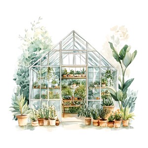 May include: A watercolor painting of a greenhouse filled with potted plants. The greenhouse is made of glass and metal and has a white frame. There are many different types of plants in the greenhouse, including ferns, succulents, and flowering plants. The plants are all in terracotta pots.
