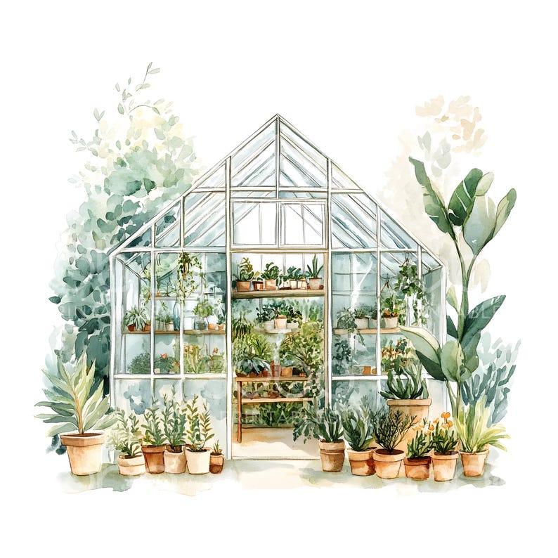 May include: A watercolor painting of a greenhouse filled with potted plants. The greenhouse is made of glass and metal and has a white frame. There are many different types of plants in the greenhouse, including ferns, succulents, and flowering plants. The plants are all in terracotta pots.
