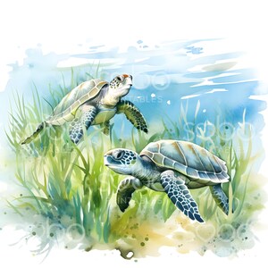 May include: Two green sea turtles swim through a bed of green seaweed in a watercolor painting. The turtles are facing different directions and have brown shells with black markings.