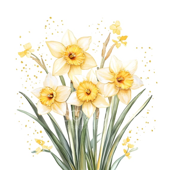 18 Daffodils Gold Clipart, Daffodils Flowers, High Quality JPGs, Watercolor Printable Art, Digital Download, Paper Craft, Junk Journal S753