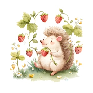 19 Clipart hérisson fraise, fraise douce, bébés animaux, aquarelle imprimable, fichiers JPG de haute qualité, téléchargement numérique, créations en papier S897