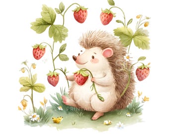 19 Hedgehog Strawberry Clipart, Sweet Strawberry, Baby Animals, Printable Watercolor, High Quality JPGs, Digital Download, Paper Craft S897